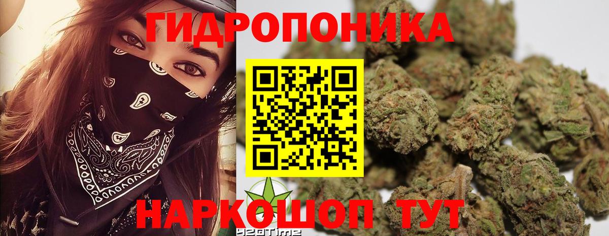 Бошки марихуана White Widow Сегежа